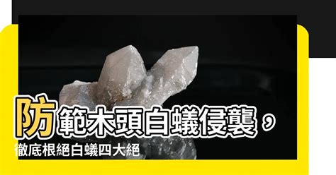 木頭白蟻處理|如何消滅白蟻，白蟻怕什麼？專家教你4大祕訣，擒國先擒王！ 呼。